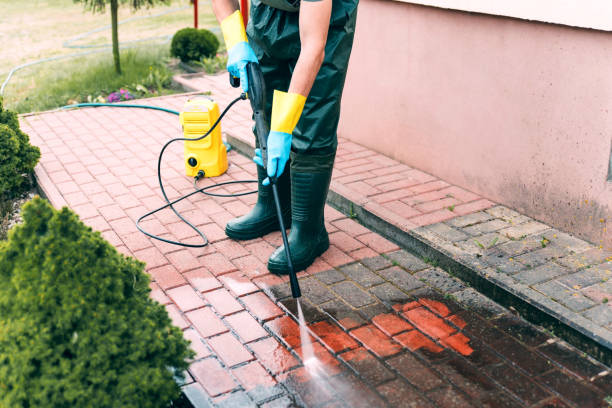 Best Affordable Power Washing  in Fremont, NC